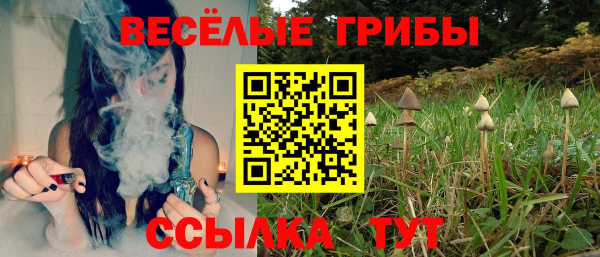 Псилоцибиновые грибы Psilocybine cubensis  Псилоцибиновые грибы ЛСД  Вход с VPN  Советский 