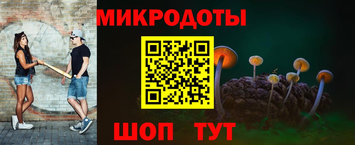 Псилоцибиновые грибы мицелий Советский